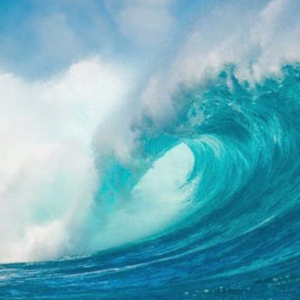 Meet your Posher, Audrey